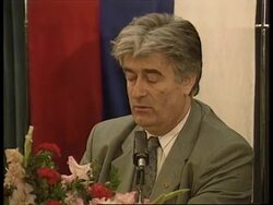 Bosnia - Karadzic States Terms News Clip