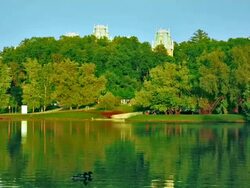 Summer landscape Stock Footage