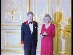 WRAP Latest reactions to Charles and Camilla's engagement News Clip