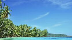 Beautiful tropical beach at exotic island Stock Footage