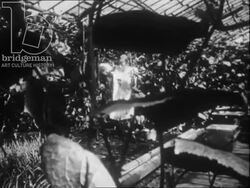 Off-duty soldiers. USSR, 1973 Stock Footage