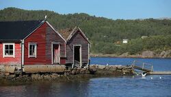 Beautiful Norway, bouthouses and seagulls HD Stock Footage