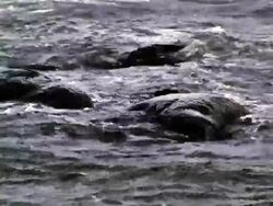 Rocks and Seawater Stock Footage