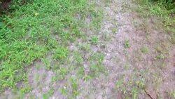 WWF claims many rivers are at risk of drying out News Clip