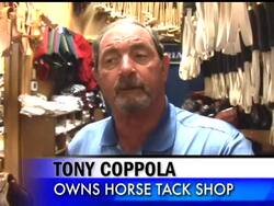 The sudden death of 21 polo horses at a championship event in Florida may have been caused by a toxin in the animals' feed, vitamins or supplements, veterinarians said Monday. News Clip