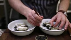 Chef adding caviar to oysters Stock Footage