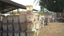 CLEAN : Central Africa polls proceed peacefully: elections authority News Clip