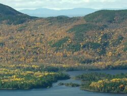WS ARIEAL View of Forest and lake / Maine, United States Stock Footage