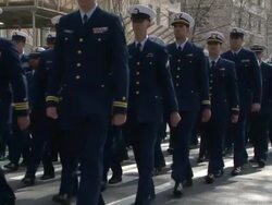 St. Patrick's Day Parade Stock Footage
