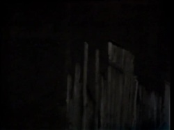 Eagles, Hawks, Vultures And Owls Instructional Video