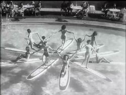 WATER SHOWS - ABOVE AND BELOW SURFACE News Clip