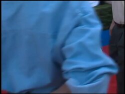 'Toy Story 2' Premiere Stock Footage