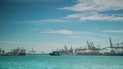 Commercial Dock. Stock Footage