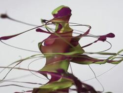 CU SLO MO Shot of drill that creates spinning mix of colors / Munich, Bavaria, Germany Stock Footage