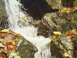 HD SLOW-MO: Crystal Creek In Autumn Stock Footage