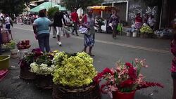CLEAN : Nicaragua's First Couple look poised for election victory News Clip