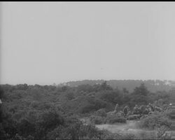 WARFARE PRACTICE IN MUD News Clip