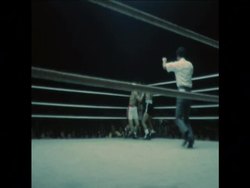 SYND 17 3 75 VILLAFLOR RETAINS WORLD LIGHTWEIGHT BOXING TITLE BY BEATING HYUN CHI KIM IN MANILA Instructional Video