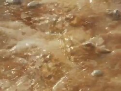 CU Warm water running from geyser on bright coloured algae / Yellowstone National Park, Wyoming, United  Stock Footage