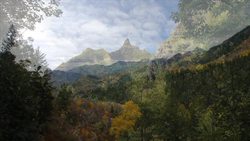 Environment Instructional Video