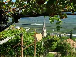 HD Vineyard above old town tracking shot Stock Footage