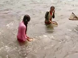 MS SLO MO Shot of Three girls with small fishing nets in river with strong current / Ou river, Luang Prabang, Laos Stock Footage