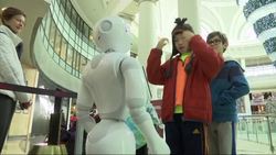 Customer Service Robots Debut in Malls, Airports News Clip