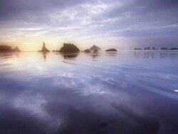 MS POV SLO MO Shot of Couple running on beach at sunset time / Bandon Beach, Oregon, United States Stock Footage