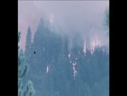 SYND 21-8-73 FOREST FIRES RAGING IN NORTHERN CALIFORNIA News Clip