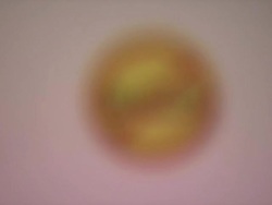 ATMOSPHERE: signage at 'Bully' New York Screening on 3/20/2012 Stock Footage