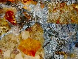 DUSTBIN : vibrant color (LOOP) Stock Footage