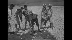 Korean workers repair Pohang airfield recaptured by US troops during Korean War News Clip