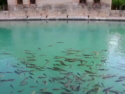 HD: Halil-ur Rahman Mosque and Holy Lake Stock Footage