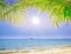 Sunny beach Stock Footage