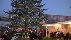 Traditional lighting of the tree in St Peter's Square News Clip