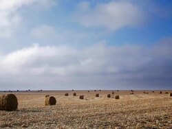 T/L Rolls of hay. Time lapse. 1080P Stock Footage