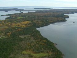 WS ARIEAL PAN View of Wooded area with autumn color / Maine, United States Stock Footage