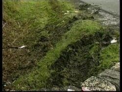 Japanese tourists injured in Hawaiian crash News Clip