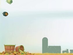 Fall Vegetable Harvest Stock Footage