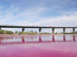 WS TD View of bright red algal bloom near Westgate Bridge, Yarra River / Melbourne, Victoria, Australia Stock Footage