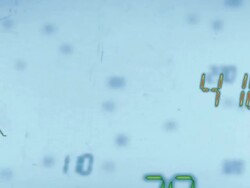 Circuit Board Stock Footage