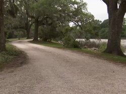 Shot of road running along river. Stock Footage