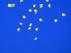 Corn Kernels (Super Slow Motion) Stock Footage