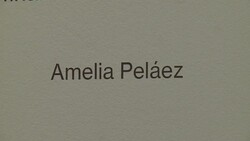 VOICED : Al fin! Miami tiene Museo News Clip