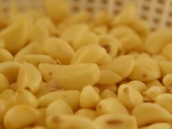 Peeling garlics Stock Footage