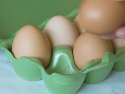 Easter Eggs Stock Footage