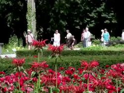 MS People roaming in national garden exhibition / Koblenz, Rhineland-Palatinate, Germany Stock Footage