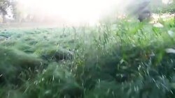 Helicopter Point of View, lake Stock Footage