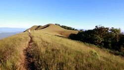Hiker with backpacks exploring nature Stock Footage