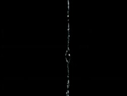 Bolas or Magnificent Spider (Dicrosticus) Silk - ECU tilt down sticky silk thread, Australia Stock Footage